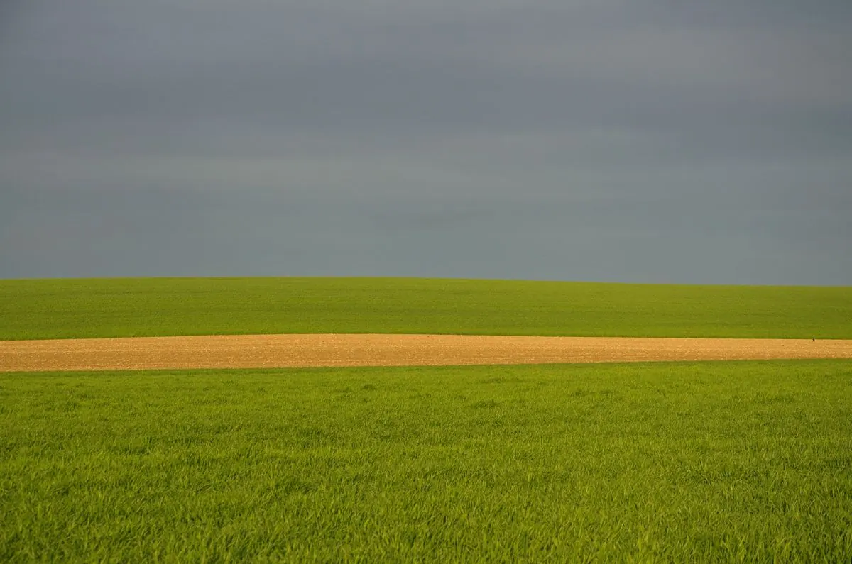 Wide green farmland with field-row patterns and machinery tracks, reflecting MeadowMach Rentals' focus on rural land operations.