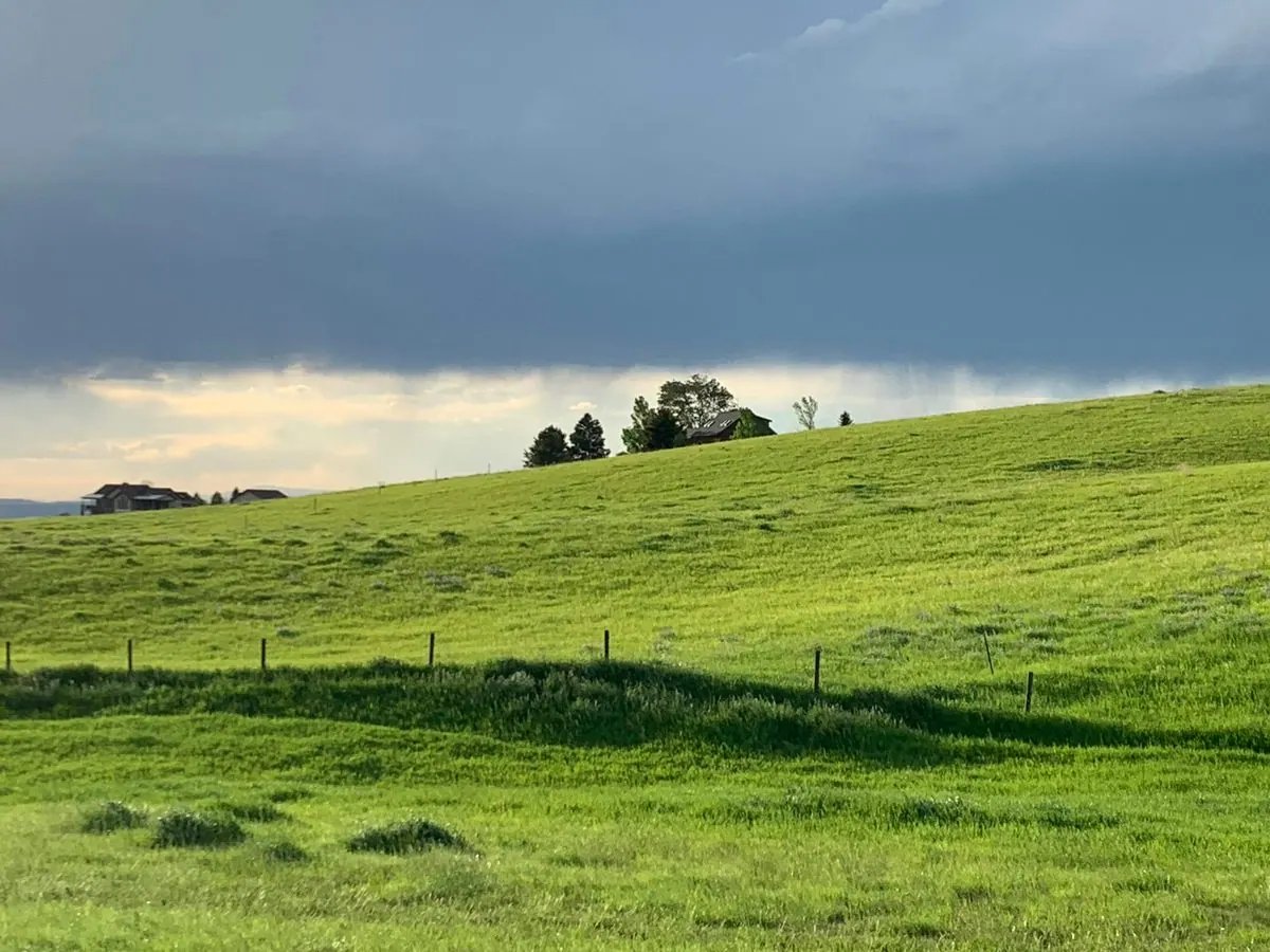 Large grassland and estate grounds environment, representing grounds and estate maintenance equipment hire for outdoor land management.